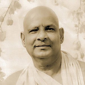 Sivananda in the forest junble up close