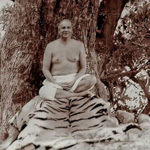 Sivananda meditating undisturbed in the forest